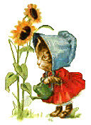 Sunflowercat