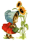 Sunflowercat"