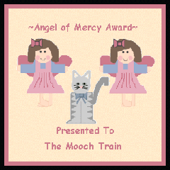Angel of Mercy Award