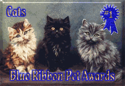 Petsburgh Blue Ribbon Award