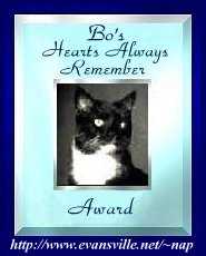 Bo's Award for Our Rainbow AngelKitties