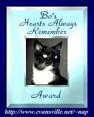 Bo's Award for Our Rainbow AngelKitties