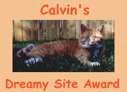 Calvin's Dreamy Award