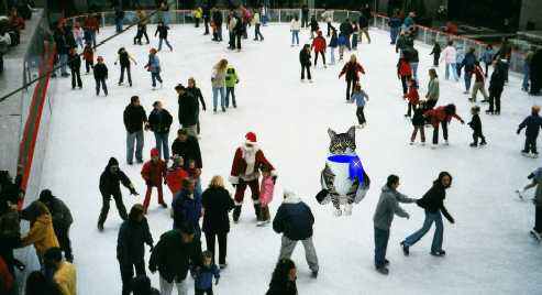 Rockefeller Skating Rink