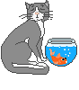 fishcat