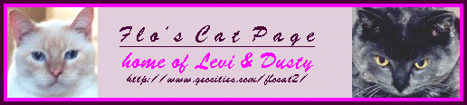 Flobanner