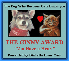 Ginny Award