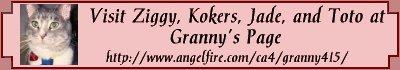 Grannybanner