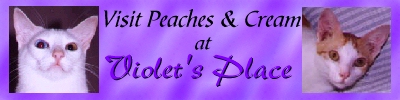 MiaVioletbanner