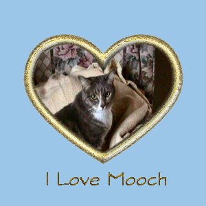 LoveMooch