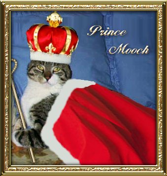 Prince Mooch