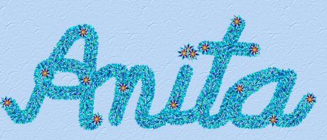 Anita Signature