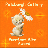 PurrfectSite"