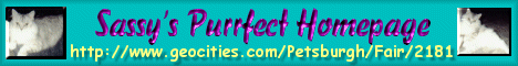 Sassybanner