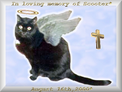 ScooterAngel